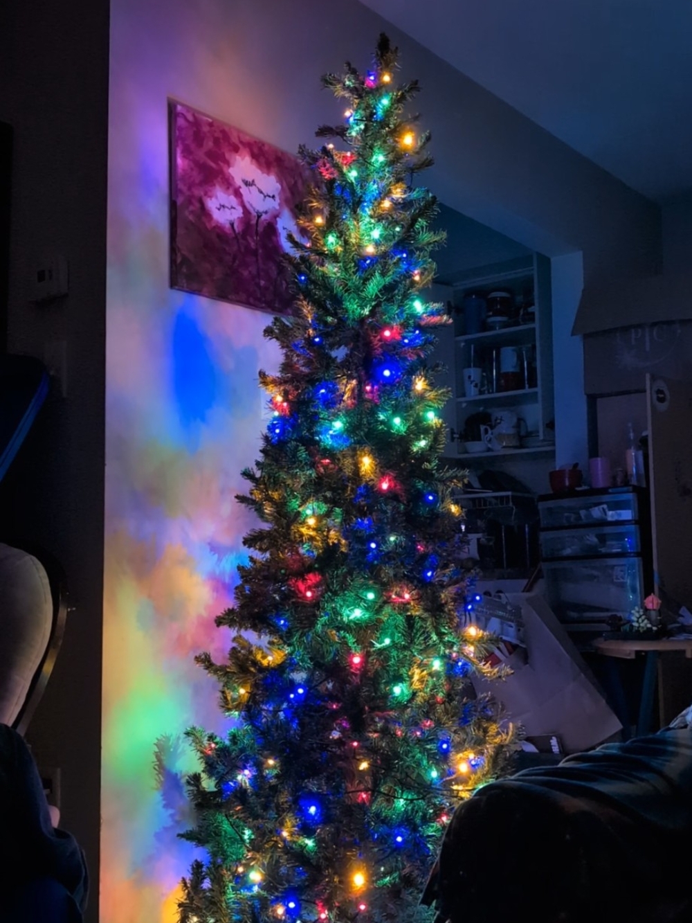 Multi-Color Holiday String Lights on Slim Artificial Tree - Home Holiday